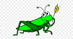 44 443207 Grasshopper Clipart Transparent Background For ...