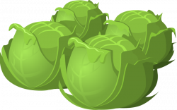 Cabbage Clipart Cartoon