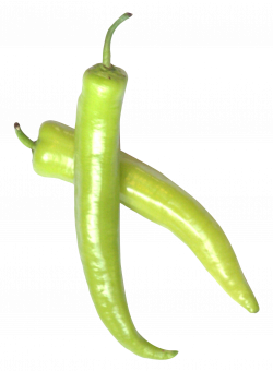 Green Chili Pepper PNG Image - PurePNG | Free transparent CC0 PNG ...