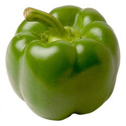Green Pepper transparent PNG - StickPNG