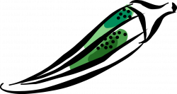 Okra Edible Green Seed Pods - Vector Image