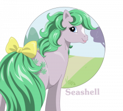 Image - Mlp seashell.png | My Little Pony G1 Wiki | FANDOM powered ...