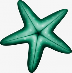 Blue Green Starfish | Shipwrecked VBS 2018 | Cartoon ...