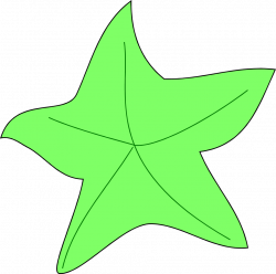 Starfish | Free Stock Photo | Illustration of a green starfish | # 7308