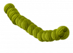 Worm Green Spiky transparent PNG - StickPNG