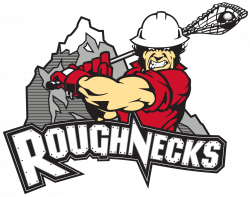 Tailgate Grill | Roughnecks
