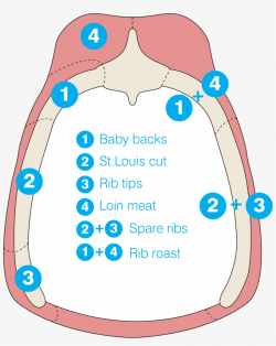 Grilling Clipart Smoking Meat - Ribs Transparent PNG ...