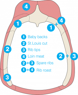 rib_infographic (1) | Grill | Pinterest | Bbq spare ribs, Spare ribs ...