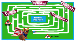 The Maze of Finding The Best Organic Dog Food – Dogs For The Earth
