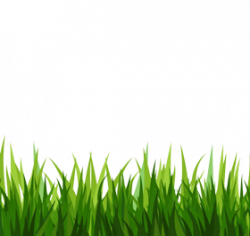 Grass clipart transparent background clipart images gallery ...