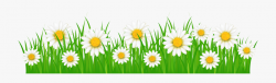 Clipart Grass On Ground Collection - Grass And Flowers ...
