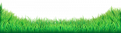 Green Grass Background clipart - Grass, Sky, transparent ...