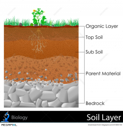 Layer Of Soil Illustration 31606153 - Megapixl
