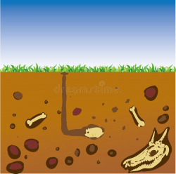 Ground Clipart dirt layer 8 - 800 X 795 Free Clip Art stock ...