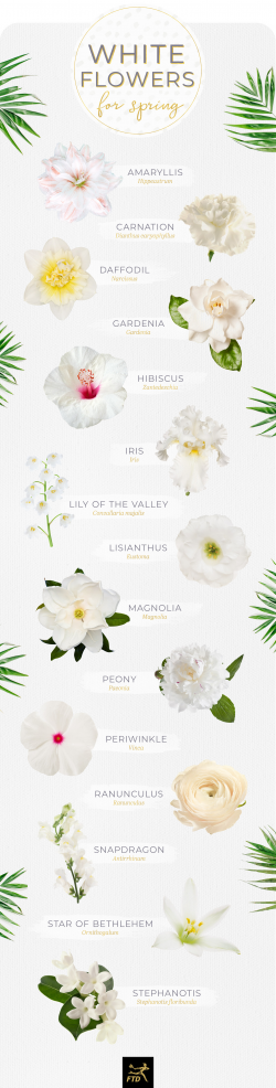 40 Types of White Flowers - FTD.com