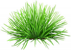 Grass Path Transparent PNG Clip Art Image | Gallery Yopriceville ...