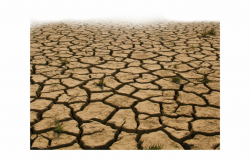 cracked #dryearth #parched #ground #dirt - Soil, Transparent ...