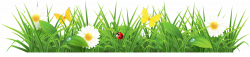Euclidean vector Spring Pixabay - Grass Ground with Flowers Clipart ...