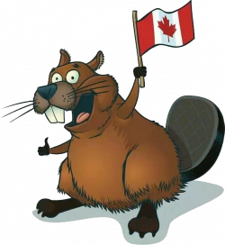 Beaver PNG images free download