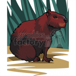 Woodchuck clipart. Royalty-free clipart # 129256