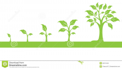 Tree Growth Clipart
