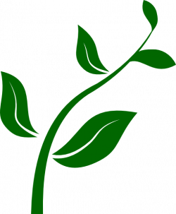 Growing Plant Clip Art at Clker.com - vector clip art online ...