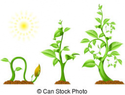 Growth Clip Art Free | Clipart Panda - Free Clipart Images