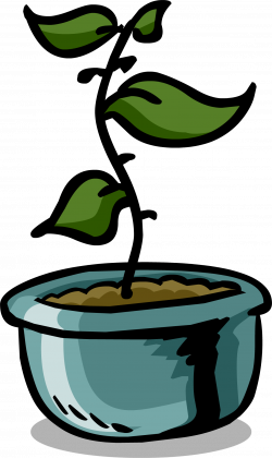 Growing Plants | Club Penguin Wiki | FANDOM powered by Wikia