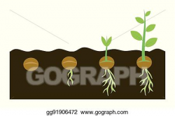 Vector Stock - Plants growing in soil. Clipart Illustration ...