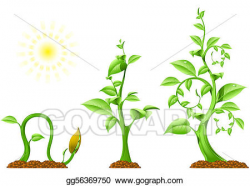 Stock Illustration - Plant growth. Clipart Drawing ...