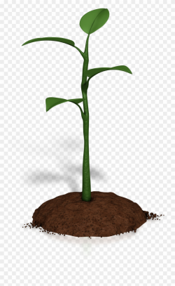 Soil Clipart Plant Growth - Plant Animations For Powerpoint ...