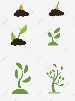 Plant Growth Process Element, Plant, Growing, Growing Up PNG ...