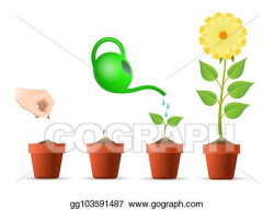 Vector Illustration - Plant growing stages in pot. EPS ...