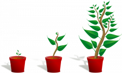 Growth Clipart Plant 002 Growing Vector Clipartpng free image
