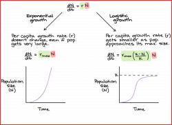 Inspirational Growth Rate Equation | cobble usa