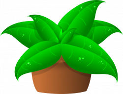 Potted plant clipart - crazywidow.info