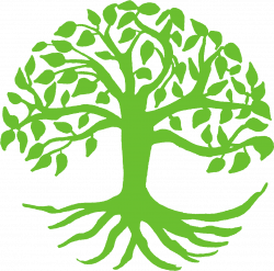Spiritual Growth Clipart - Tree Of Life Svg - Png Download ...