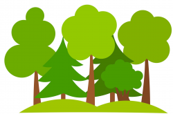 GSN Tree Planting Initiative | Green Spa Network