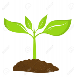Seedling Clipart | Free download best Seedling Clipart on ...