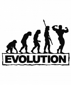 Evolution of Man Decal | Evolution | Pinterest | Evolution and Products