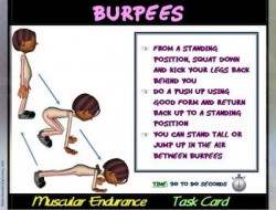 Fitness Circuit Task Cards- 'Muscular Endurance” | Health ...