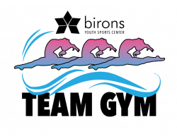 Birons Team Gym Logo on Behance