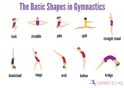The Basic Shapes in Gymnastics