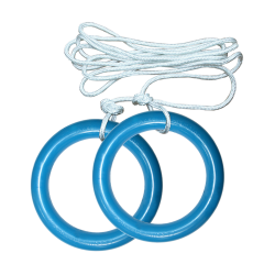 Sport Gymnastics Rings Wall bars Price - ring clipart 1000*1000 ...
