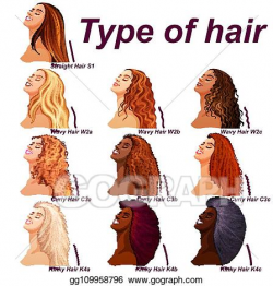 Vector Art - Hair types chart displaying all types and ...
