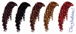 28+ Collection of Brown Curly Hair Clipart | High quality, free ...