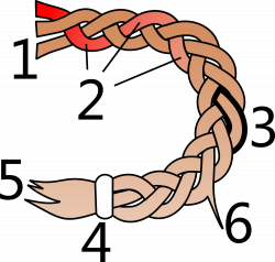 File:Parts of a hair braid.png - Wikimedia Commons