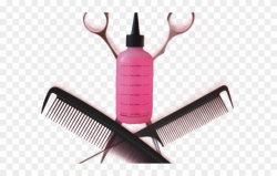 Hairstyles Clipart Hair Supply - Hair Salon Logo Png Hd ...