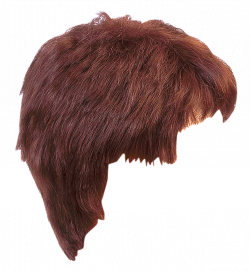 PNG Hairstyle Transparent Hairstyle.PNG Images. | PlusPNG