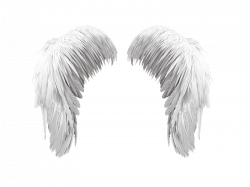 White Angel Wings PNG Free (Isolated-Objects) | Textures for Photoshop